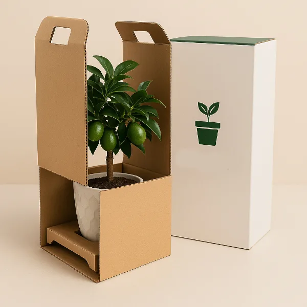 Custom Edible Plant Boxes